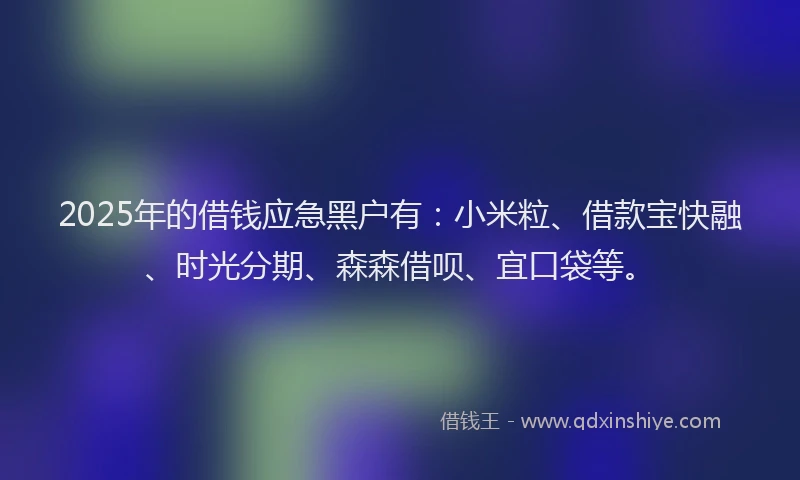 2025年的借钱应急黑户有：小米粒、借款宝快融、时光分期、森森借呗、宜口袋等。