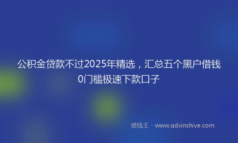 公积金贷款不过2025年精选，汇总五个黑户借钱0门槛极速下款口子
