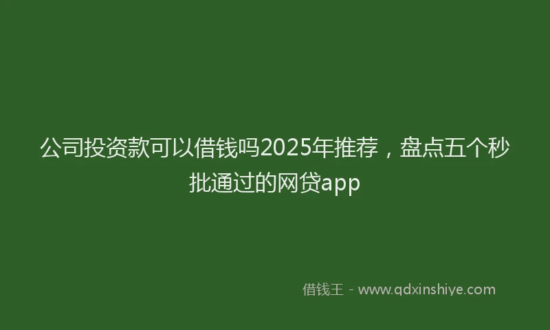 公司投资款可以借钱吗2025年推荐，盘点五个秒批通过的网贷app
