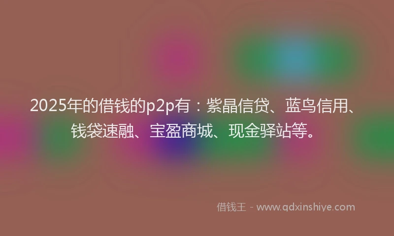 2025年的借钱的p2p有：紫晶信贷、蓝鸟信用、钱袋速融、宝盈商城、现金驿站等。