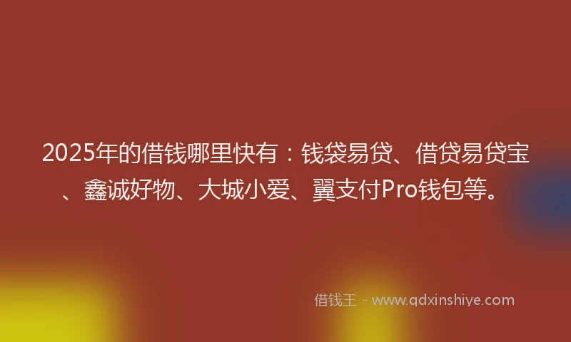 2025年的借钱哪里快有：钱袋易贷、借贷易贷宝、鑫诚好物、大城小爱、翼支付Pro钱包等。