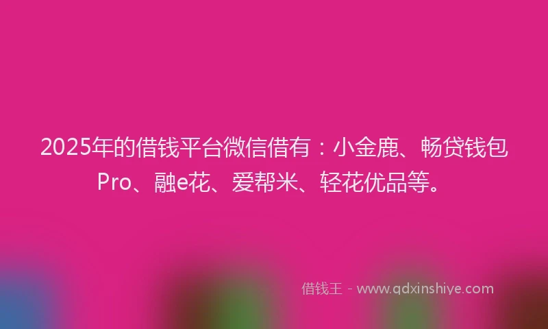 2025年的借钱平台微信借有：小金鹿、畅贷钱包Pro、融e花、爱帮米、轻花优品等。