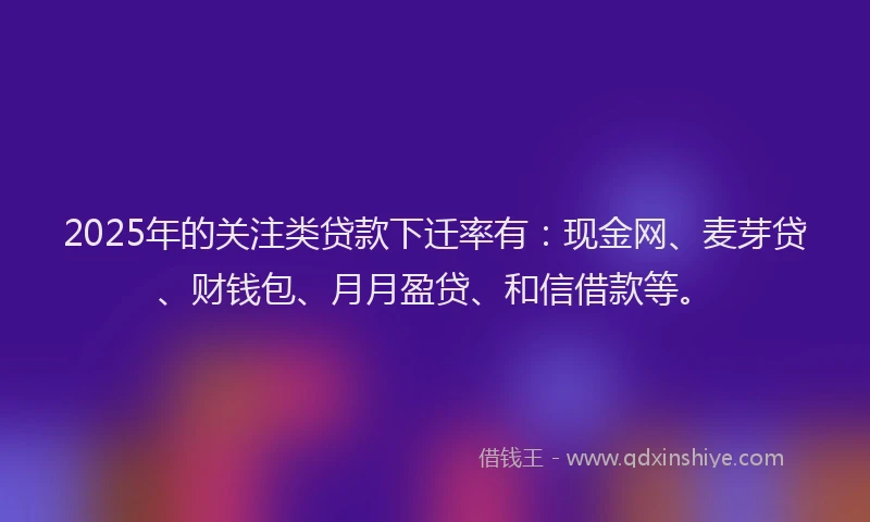 2025年的关注类贷款下迁率有：现金网、麦芽贷、财钱包、月月盈贷、和信借款等。