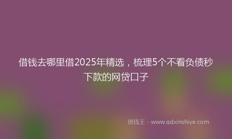 借钱去哪里借2025年精选，梳理5个不看负债秒下款的网贷口子