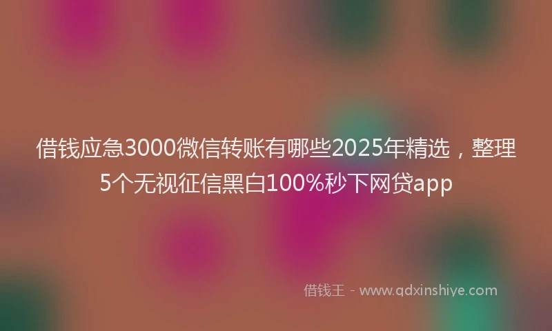 借钱应急3000微信转账有哪些2025年精选，整理5个无视征信黑白100%秒下网贷app