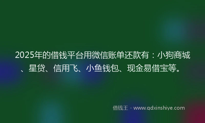 2025年的借钱平台用微信账单还款有：小狗商城、星贷、信用飞、小鱼钱包、现金易借宝等。
