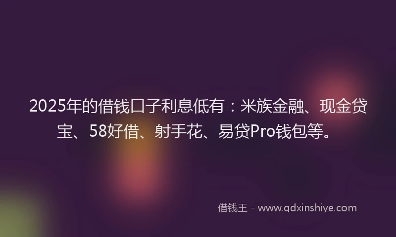 2025年的借钱口子利息低有：米族金融、现金贷宝、58好借、射手花、易贷Pro钱包等。