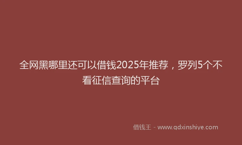 全网黑哪里还可以借钱2025年推荐，罗列5个不看征信查询的平台