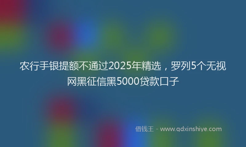 农行手银提额不通过2025年精选，罗列5个无视网黑征信黑5000贷款口子