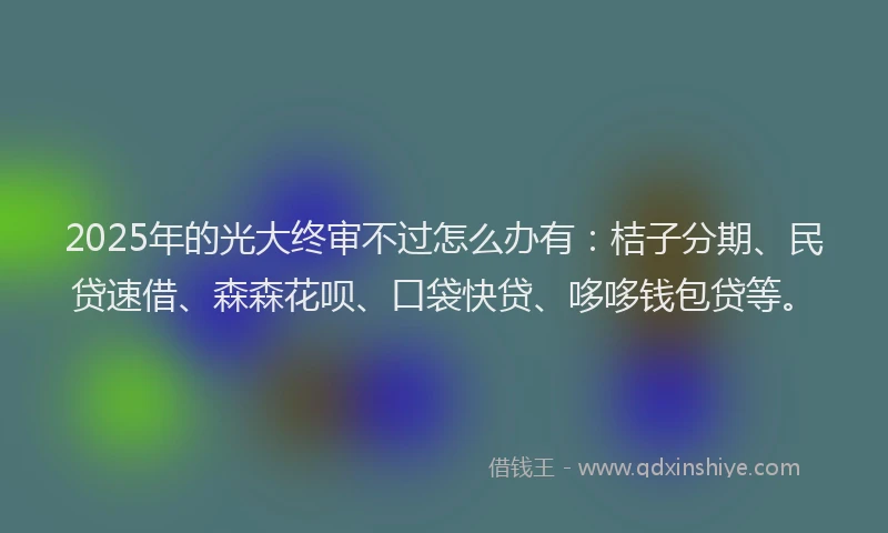 2025年的光大终审不过怎么办有：桔子分期、民贷速借、森森花呗、口袋快贷、哆哆钱包贷等。