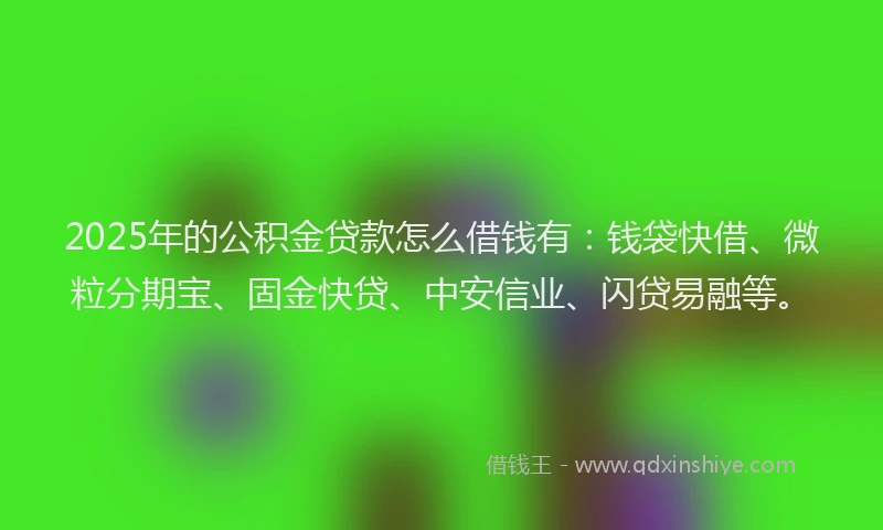2025年的公积金贷款怎么借钱有：钱袋快借、微粒分期宝、固金快贷、中安信业、闪贷易融等。