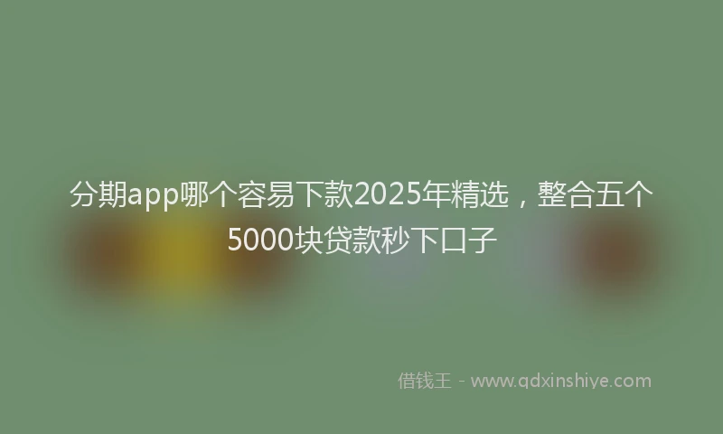 分期app哪个容易下款2025年精选，整合五个5000块贷款秒下口子