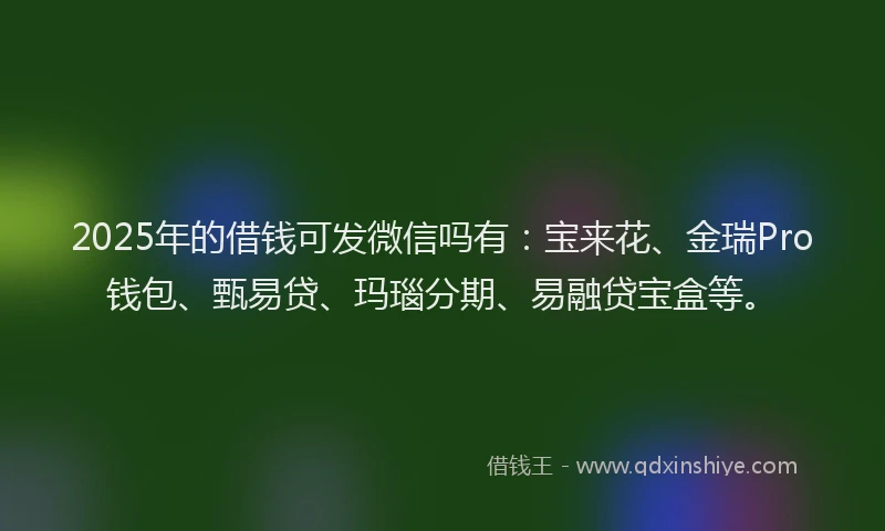 2025年的借钱可发微信吗有：宝来花、金瑞Pro钱包、甄易贷、玛瑙分期、易融贷宝盒等。