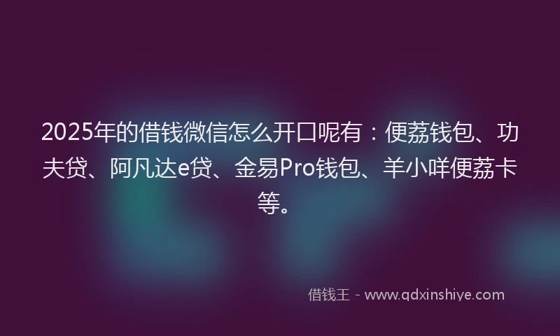 2025年的借钱微信怎么开口呢有：便荔钱包、功夫贷、阿凡达e贷、金易Pro钱包、羊小咩便荔卡等。