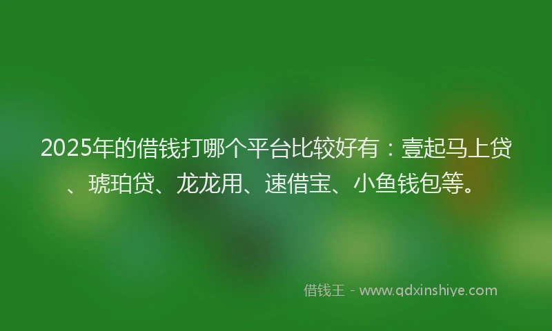 2025年的借钱打哪个平台比较好有：壹起马上贷、琥珀贷、龙龙用、速借宝、小鱼钱包等。