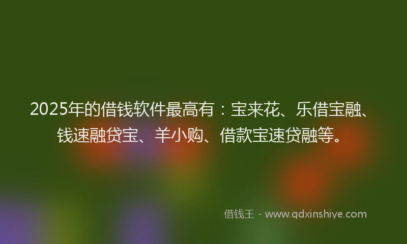 2025年的借钱软件最高有：宝来花、乐借宝融、钱速融贷宝、羊小购、借款宝速贷融等。