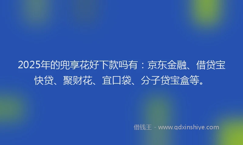 2025年的兜享花好下款吗有：京东金融、借贷宝快贷、聚财花、宜口袋、分子贷宝盒等。