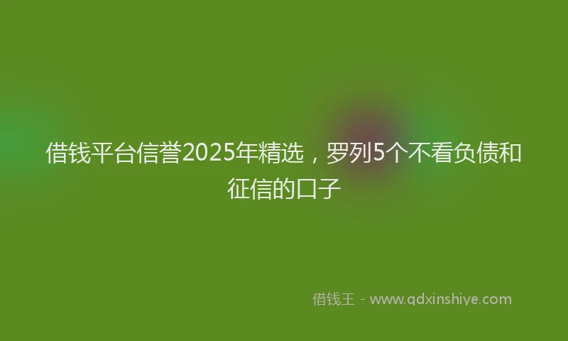 借钱平台信誉2025年精选，罗列5个不看负债和征信的口子