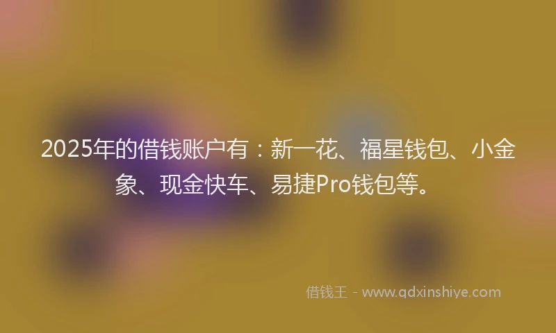 2025年的借钱账户有：新一花、福星钱包、小金象、现金快车、易捷Pro钱包等。