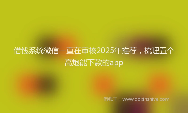 借钱系统微信一直在审核2025年推荐，梳理五个高炮能下款的app