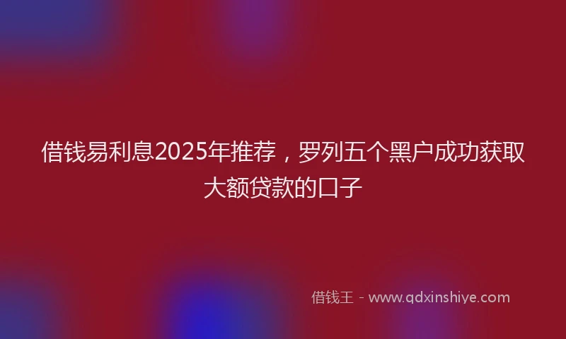 借钱易利息2025年推荐，罗列五个黑户成功获取大额贷款的口子