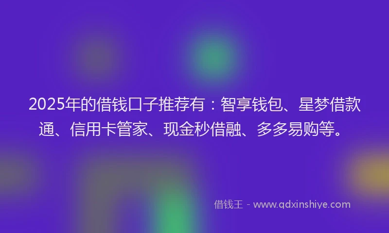 2025年的借钱口子推荐有：智享钱包、星梦借款通、信用卡管家、现金秒借融、多多易购等。