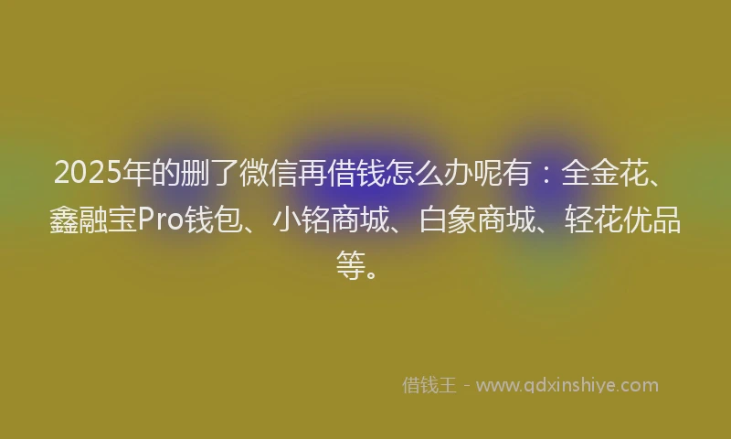 2025年的删了微信再借钱怎么办呢有：全金花、鑫融宝Pro钱包、小铭商城、白象商城、轻花优品等。