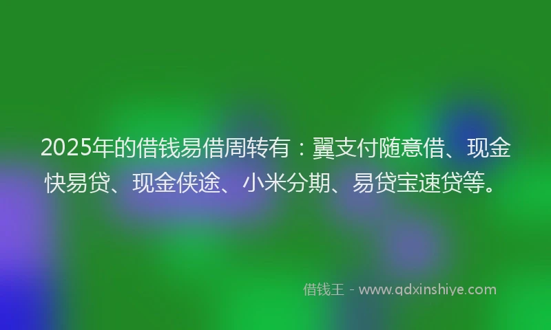 2025年的借钱易借周转有：翼支付随意借、现金快易贷、现金侠途、小米分期、易贷宝速贷等。