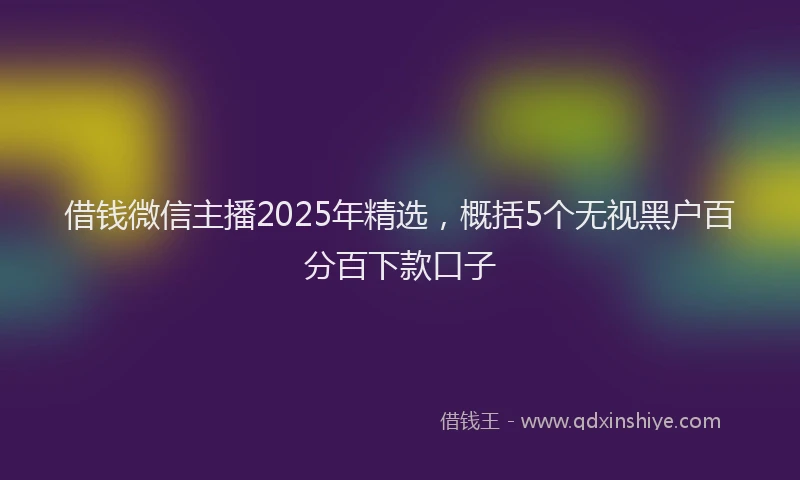 借钱微信主播2025年精选，概括5个无视黑户百分百下款口子