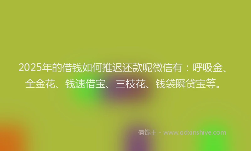 2025年的借钱如何推迟还款呢微信有：呼吸金、全金花、钱速借宝、三枝花、钱袋瞬贷宝等。