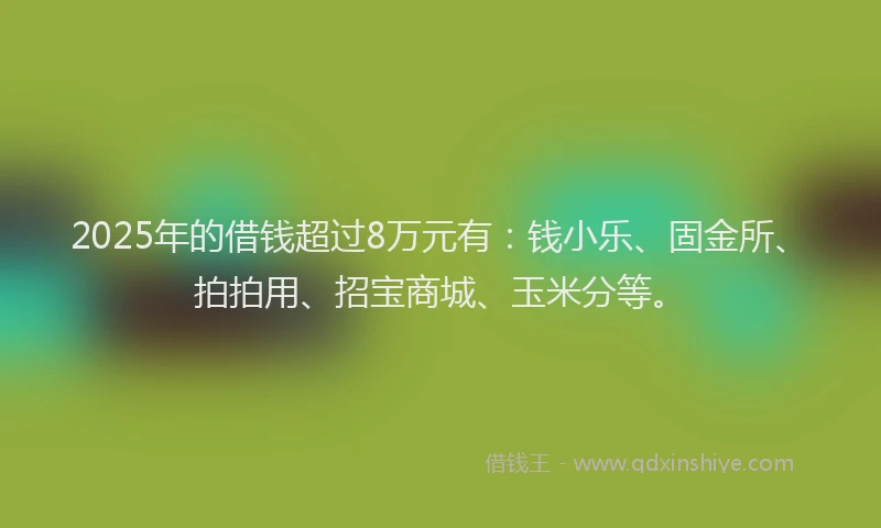 2025年的借钱超过8万元有：钱小乐、固金所、拍拍用、招宝商城、玉米分等。