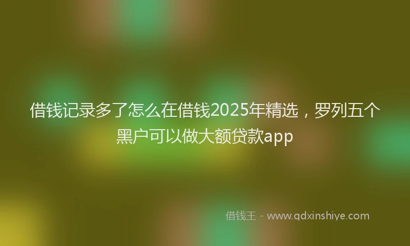 借钱记录多了怎么在借钱2025年精选，罗列五个黑户可以做大额贷款app