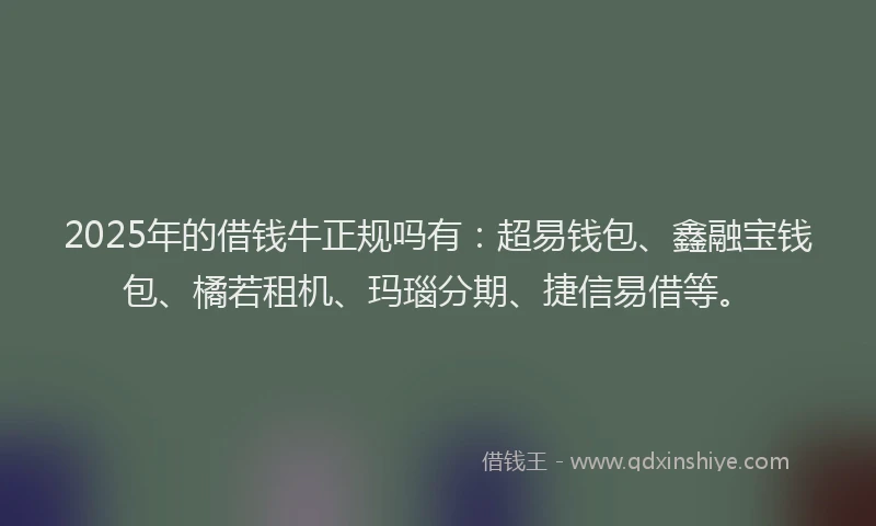2025年的借钱牛正规吗有：超易钱包、鑫融宝钱包、橘若租机、玛瑙分期、捷信易借等。