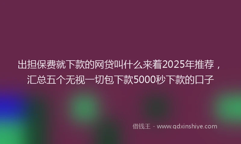 出担保费就下款的网贷叫什么来着2025年推荐，汇总五个无视一切包下款5000秒下款的口子