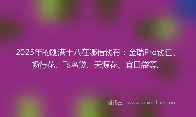 2025年的刚满十八在哪借钱有：金瑞Pro钱包、畅行花、飞鸟贷、天源花、宜口袋等。