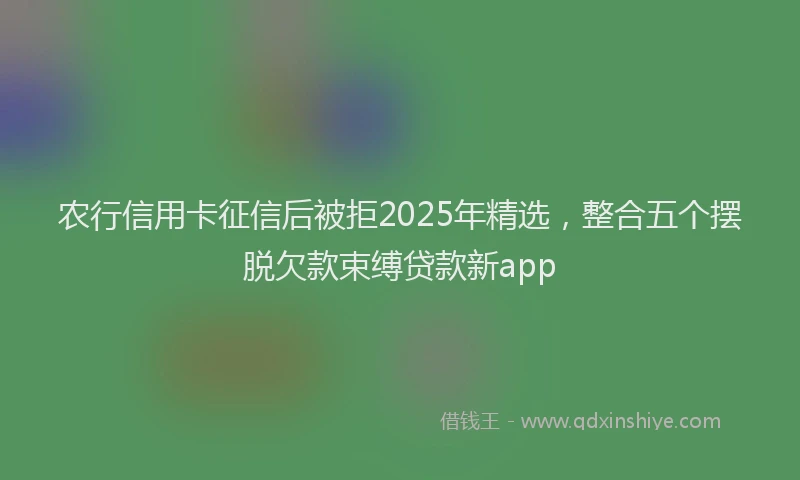 农行信用卡征信后被拒2025年精选，整合五个摆脱欠款束缚贷款新app