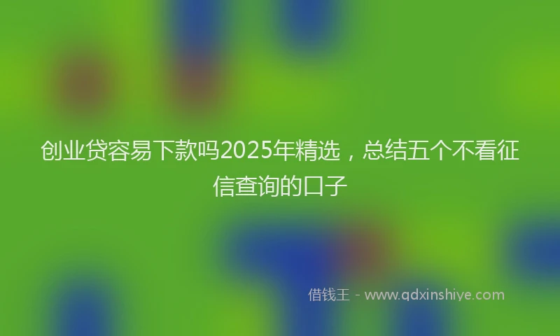 创业贷容易下款吗2025年精选，总结五个不看征信查询的口子