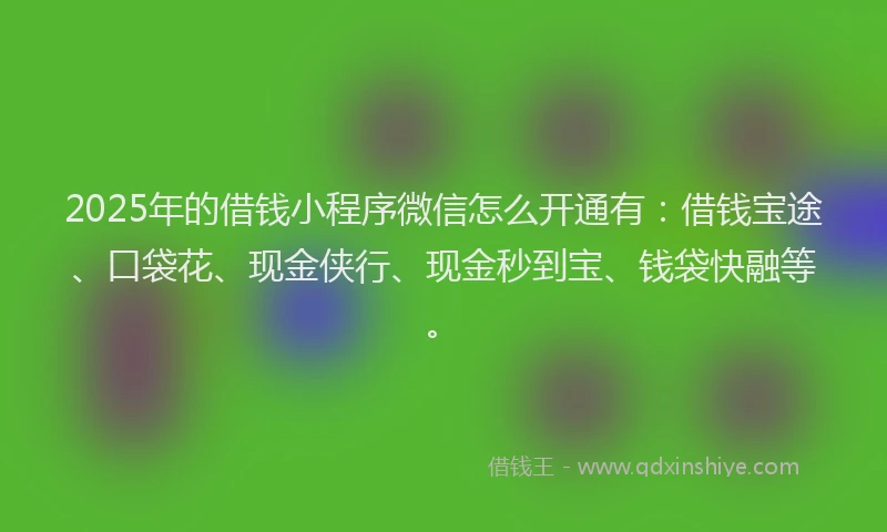 2025年的借钱小程序微信怎么开通有：借钱宝途、口袋花、现金侠行、现金秒到宝、钱袋快融等。