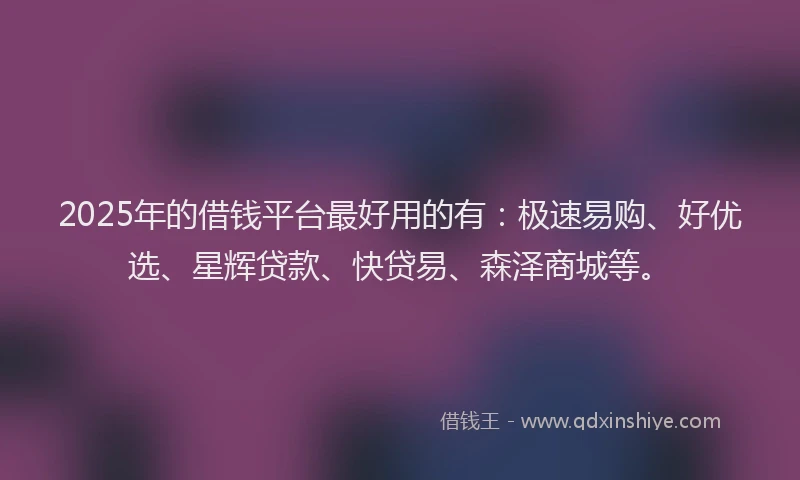 2025年的借钱平台最好用的有：极速易购、好优选、星辉贷款、快贷易、森泽商城等。