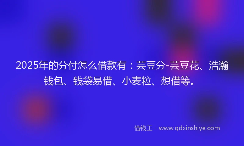 2025年的分付怎么借款有：芸豆分-芸豆花、浩瀚钱包、钱袋易借、小麦粒、想借等。