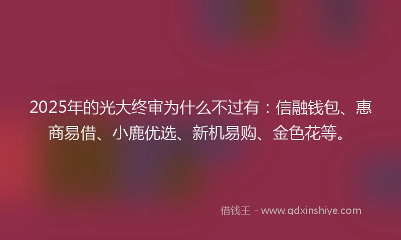 2025年的光大终审为什么不过有：信融钱包、惠商易借、小鹿优选、新机易购、金色花等。