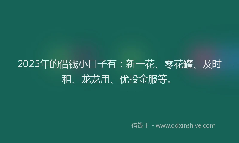 2025年的借钱小口子有：新一花、零花罐、及时租、龙龙用、优投金服等。