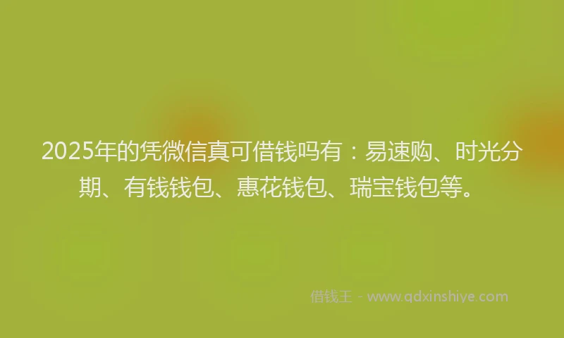 2025年的凭微信真可借钱吗有：易速购、时光分期、有钱钱包、惠花钱包、瑞宝钱包等。