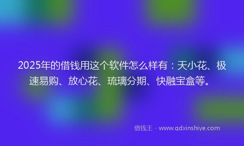 2025年的借钱用这个软件怎么样有：天小花、极速易购、放心花、琉璃分期、快融宝盒等。