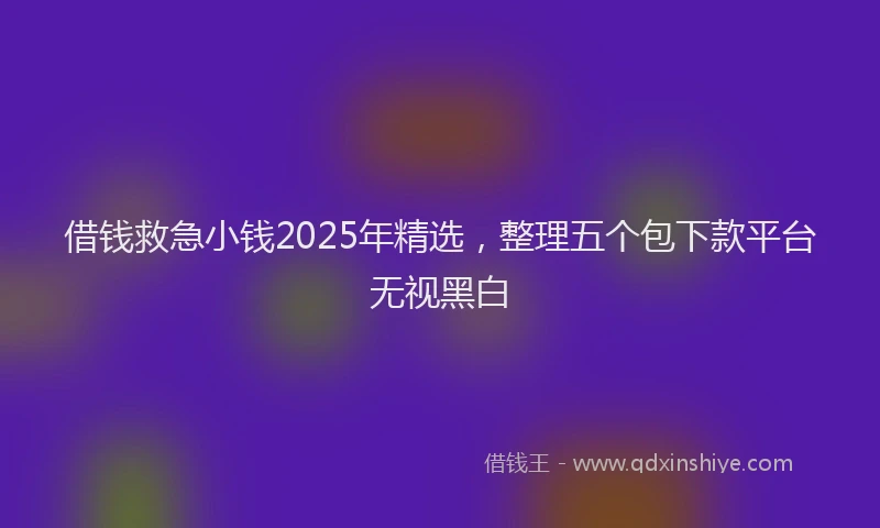 借钱救急小钱2025年精选，整理五个包下款平台无视黑白
