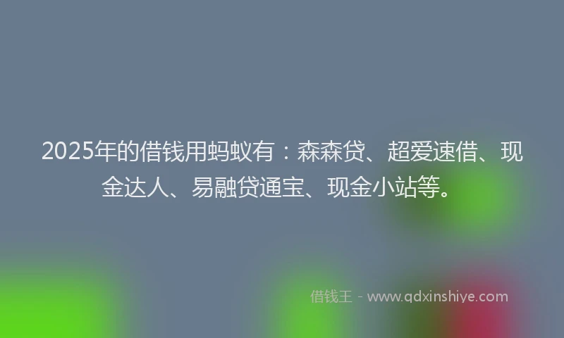 2025年的借钱用蚂蚁有：森森贷、超爱速借、现金达人、易融贷通宝、现金小站等。