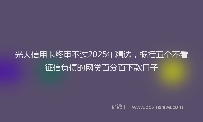 光大信用卡终审不过2025年精选，概括五个不看征信负债的网贷百分百下款口子