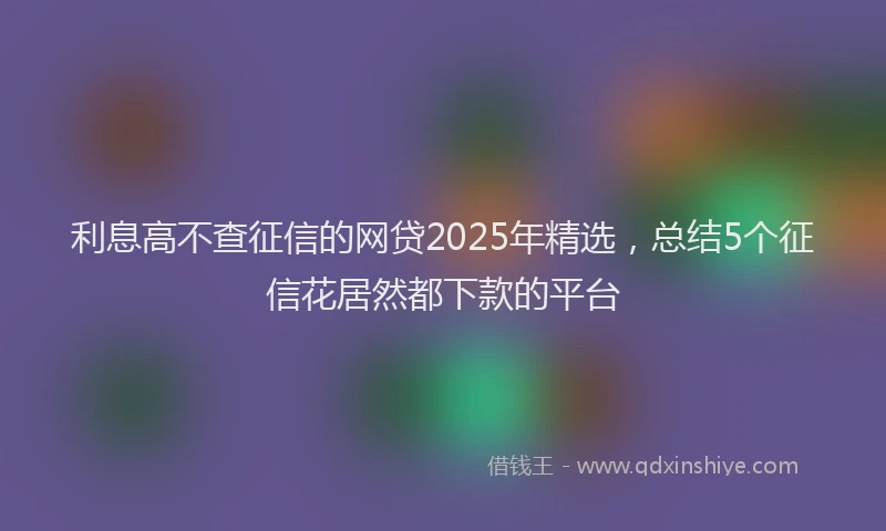 利息高不查征信的网贷2025年精选，总结5个征信花居然都下款的平台