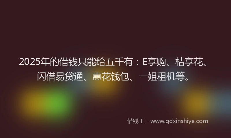 2025年的借钱只能给五千有：E享购、桔享花、闪借易贷通、惠花钱包、一姐租机等。