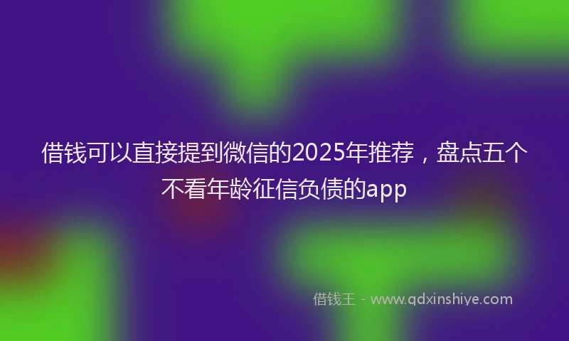 借钱可以直接提到微信的2025年推荐，盘点五个不看年龄征信负债的app